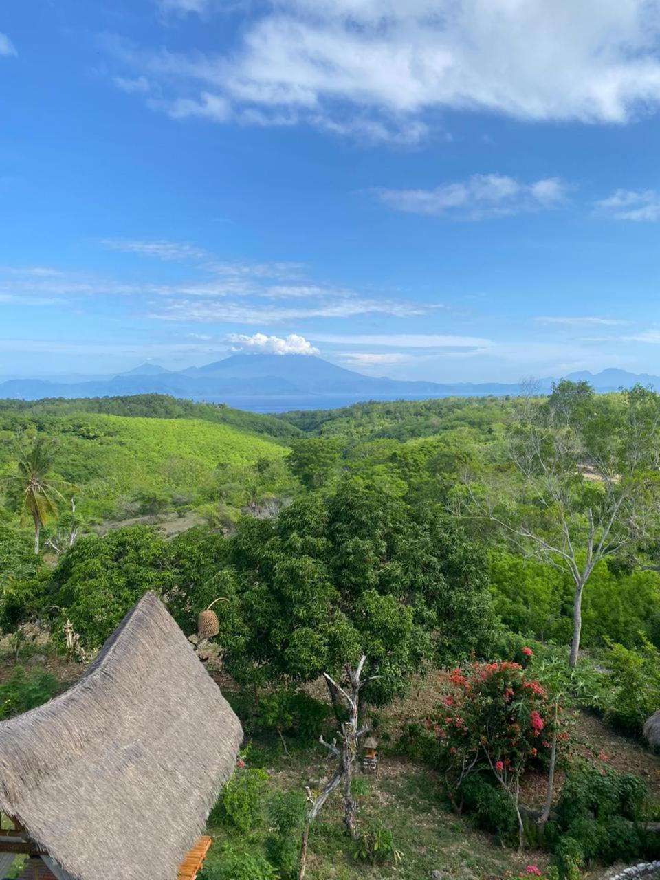 Toyapakeh Penida Bambu Green المظهر الخارجي الصورة